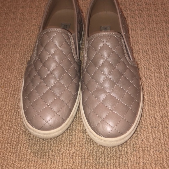 Steve Madden shoes! - Picture 1 of 5